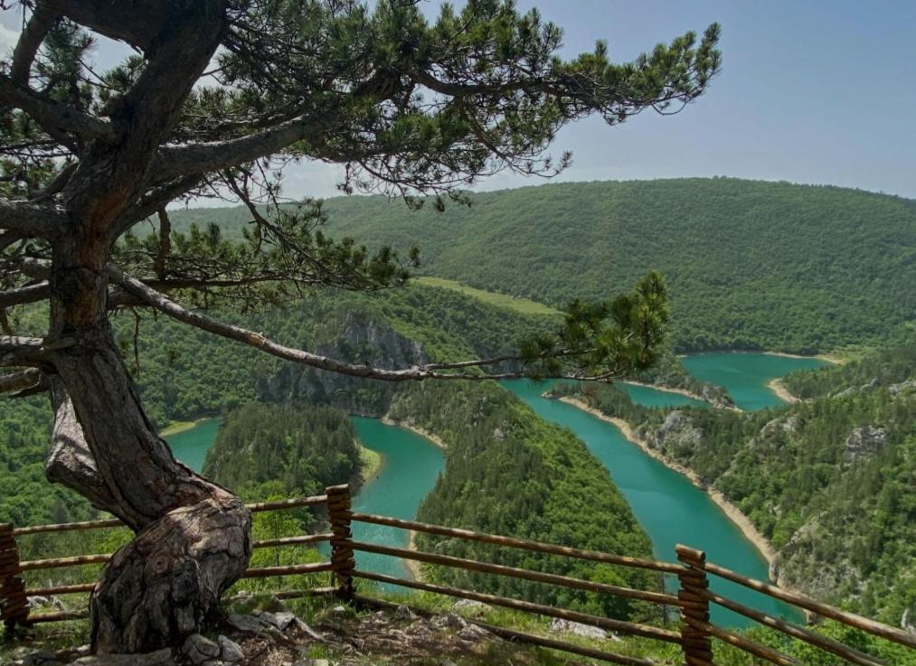 Villa Mountain Soul Rest Žabljak Exterior foto